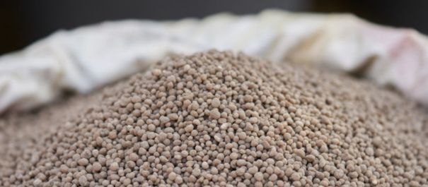 DAP (Diammoniumphosphat) NP 18-46